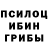 Галлюциногенные грибы Magic Shrooms aurmzh,06.09.2021