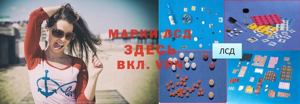 шишки Аркадак