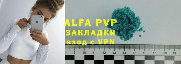 шишки Аркадак