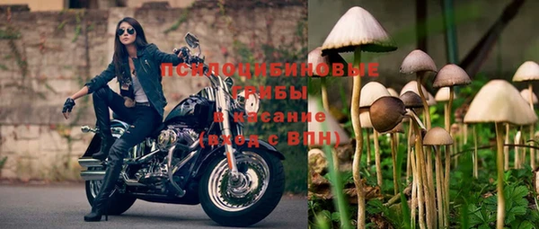 марки lsd Рославль