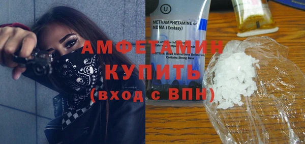 шишки Аркадак